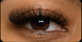 Volume lash example